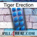 Tiger Erection viagra1